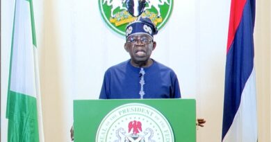 No Going Back on Tax Reforms, Says Tinubu