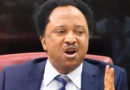 Shehu Sani Kicks Against Renaming Of ICC After Tinubu